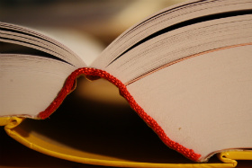 Leistungen: Lektorat